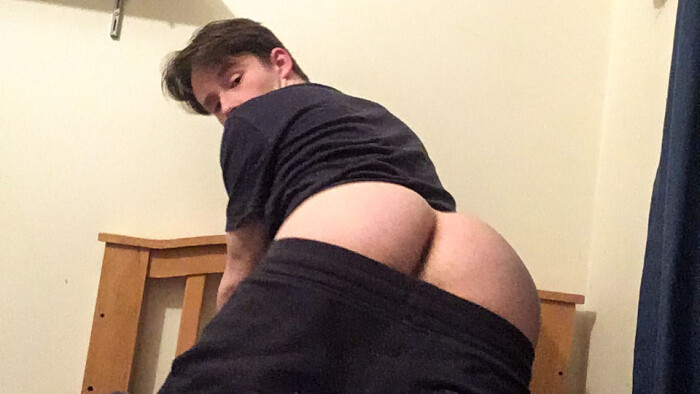 Andy Companion